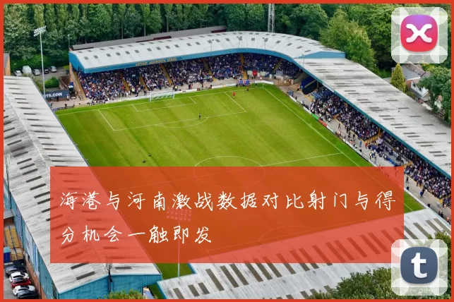 海港与河南激战数据对比射门与得分机会一触即发