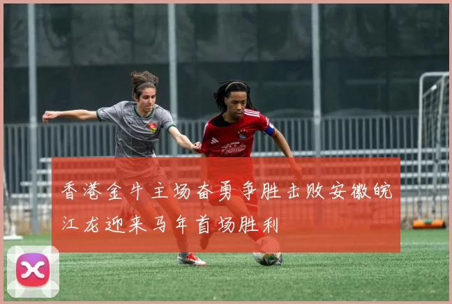 香港金牛主场奋勇争胜击败安徽皖江龙迎来马年首场胜利