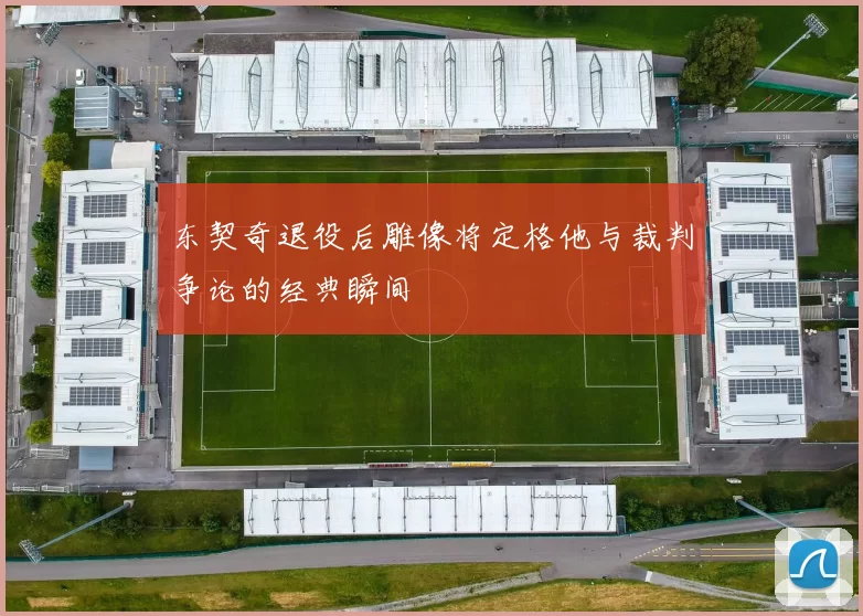 东契奇退役后雕像将定格他与裁判争论的经典瞬间